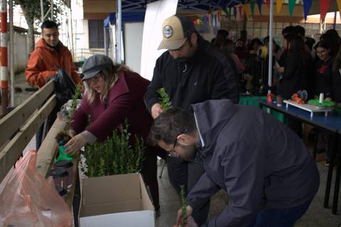 Un grupo de personas está realizando un taller de jardinería en una feria, cuidando plantas y decorando el espacio.