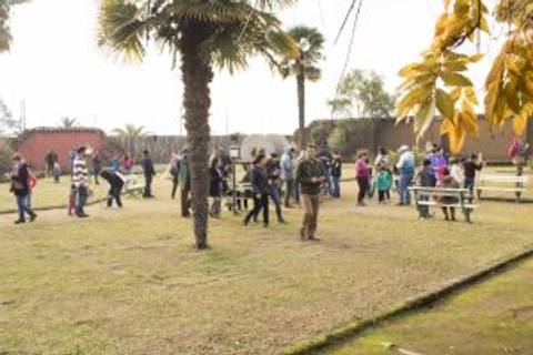 Un grupo de personas se encuentra en un parque disfrutando de una actividad al aire libre.