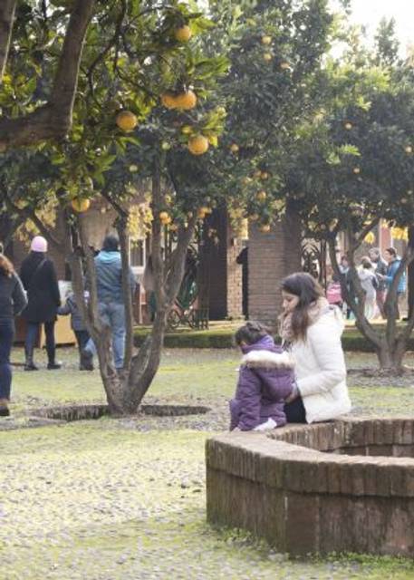 Una madre y su hija están sentadas en un jardín rodeado de naranjos.