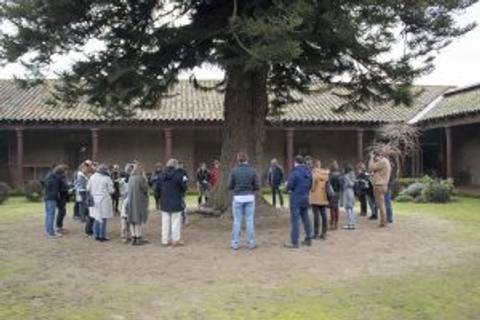 Un grupo de personas se reúne alrededor de un gran árbol en un patio.