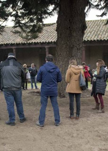 Un grupo de personas observa un árbol en un espacio al aire libre.