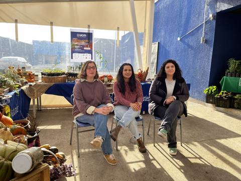 Tres mujeres conversando en un mercado local lleno de productos frescos.