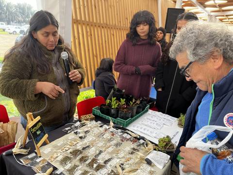 En una feria, una mujer presenta plantas y semillas a un grupo de personas interesadas.