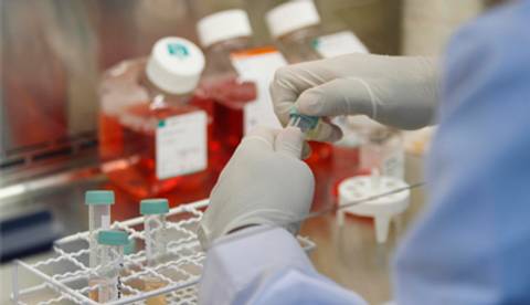 Un laboratorio con frascos y tubos de ensayo mientras se manipulan con guantes de látex.