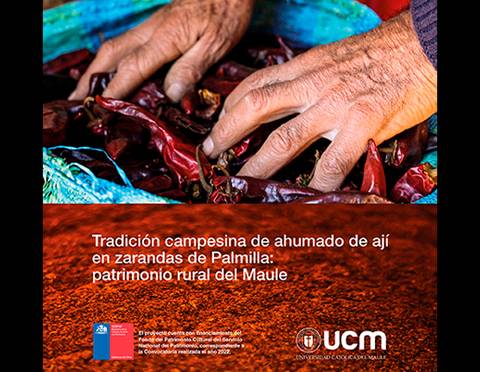 Manos trabajando con ajíes en un contexto tradicional chileno.