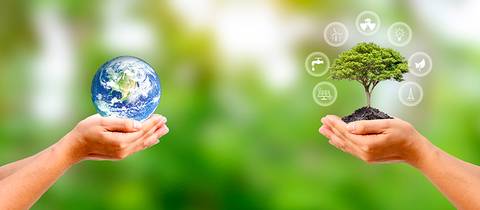 Dos manos sosteniendo el mundo y un árbol, simbolizando la conexión entre la naturaleza y el planeta.