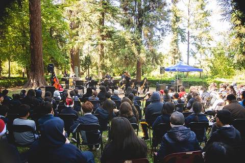 Un concierto al aire libre con una audiencia numerosa en un bosque.