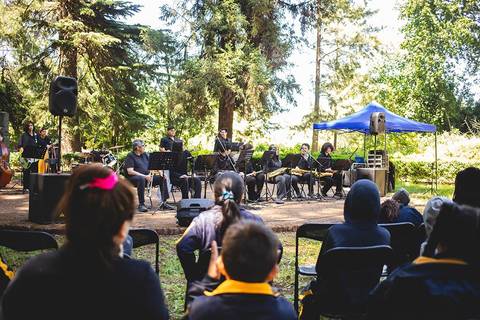 Un grupo de músicos se presenta en un parque al aire libre, tocando instrumentos frente a un público que los observa.
