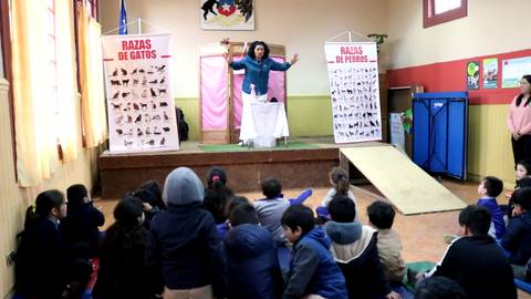 Una presentación educativa sobre razas de gatos y perros dirigida a un grupo de niños en un aula.