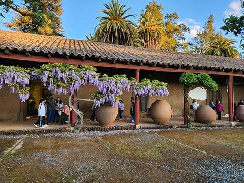 Un hermoso jardín con glicinias florecidas y personas disfrutando del paisaje junto a grandes jarrones de barro.