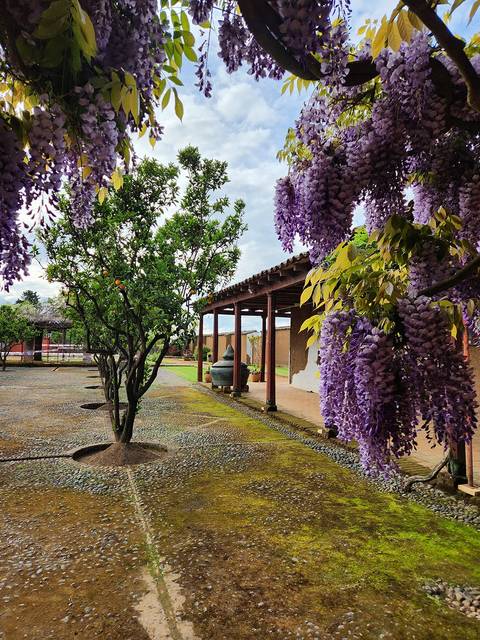 Un jardín elegante con flores moradas y árboles verdes bajo un cielo nublado.