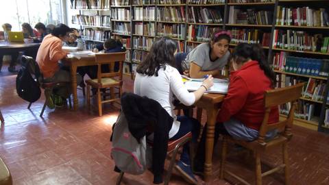 Un grupo de estudiantes trabajando y estudiando en una biblioteca.