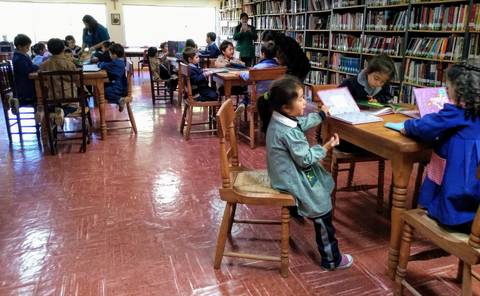 Un grupo de niños lee en una biblioteca mientras otros se concentran en sus tareas.