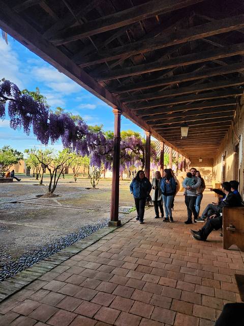 Un grupo de personas caminando por un corredor con plantas de wisteria en flor.