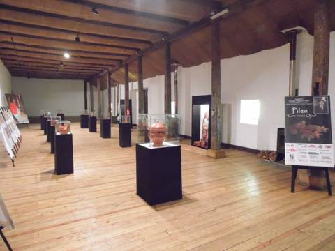 La imagen muestra una exposición en un museo con varias vitinas y esculturas exhibidas en un espacio amplio.