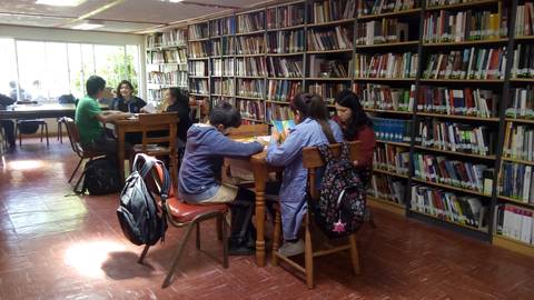 Un grupo de estudiantes está trabajando en mesas dentro de una biblioteca rodeados de estanterías llenas de libros.