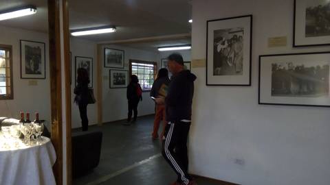 Una sala de exposición con personas observando fotografías enmarcadas en las paredes.
