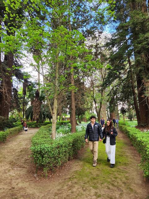Dos personas caminan por un sendero en un parque rodeado de árboles verdes.