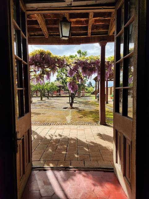 Vista de un jardín desde la puerta de una casa, con flores moradas colgantes y un ambiente tranquilo.