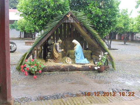 Una representación del nacimiento de Jesús en un pesebre con figuras de María, José, y el niño Jesús rodeados de plantas y flores.