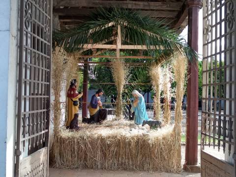 Una escena de un nacimiento con figuras que representan a la Virgen María, San José y los Reyes Magos, rodeados de heno y plantas.