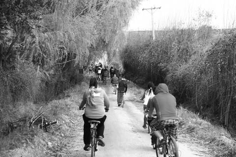 Un grupo de personas montando en bicicletas por un sendero rodeado de vegetación.