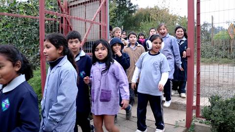 Un grupo de niños sale de una escuela con sonrisas y alegría.