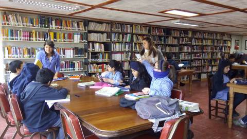 Un grupo de estudiantes trabaja en una biblioteca rodeada de estanterías llenas de libros.