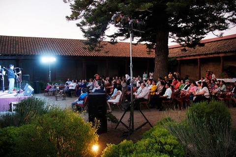 Un público numeroso asiste a un evento al aire libre bajo un gran árbol.