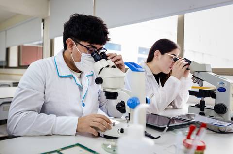Dos estudiantes observan muestras bajo el microscopio en un laboratorio.