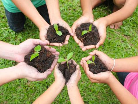 Un grupo de personas sosteniendo plantas en la palma de sus manos sobre el suelo.