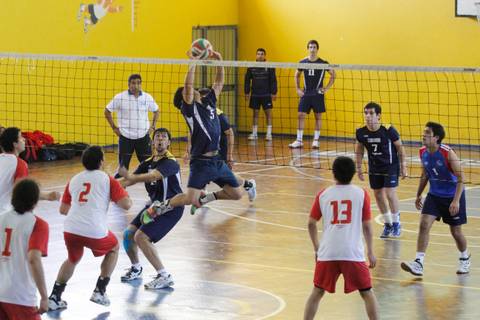 Un grupo de jugadores de voleibol en acción durante un partido en un gimnasio.