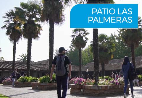 Una escena en el patio con palmeras, donde se observan algunas personas paseando entre flores.