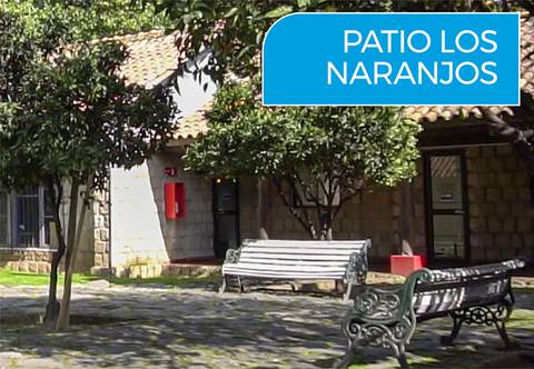 Imagen de un patio con árboles y bancos, mostrando un ambiente tranquilo y agradable.