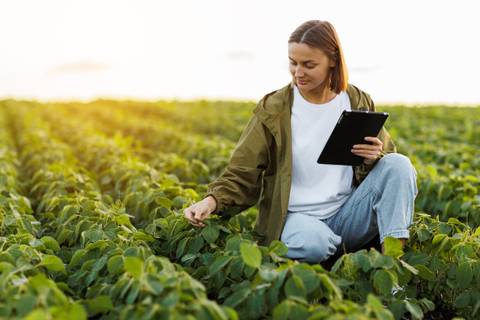 Una mujer revisando las plantas en un campo mientras usa una tablet.