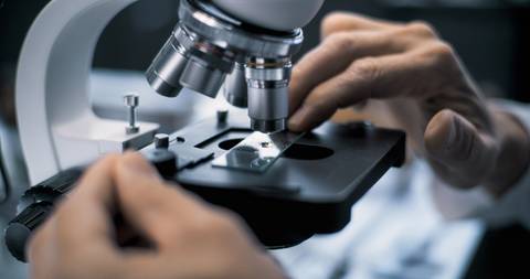 Un científico observa una muestra bajo un microscopio.