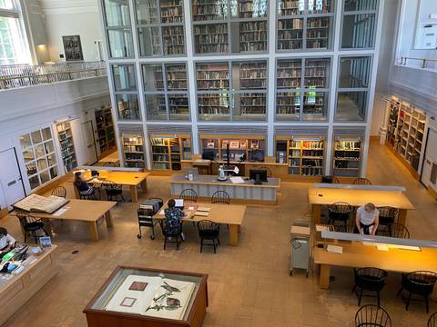 Una biblioteca amplia y luminosa con mesas de trabajo y estanterías llenas de libros.