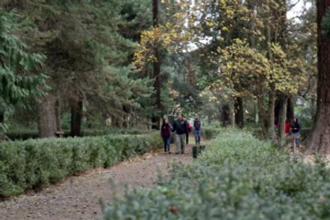 Un grupo de personas camina por un sendero en un parque con árboles alrededor.