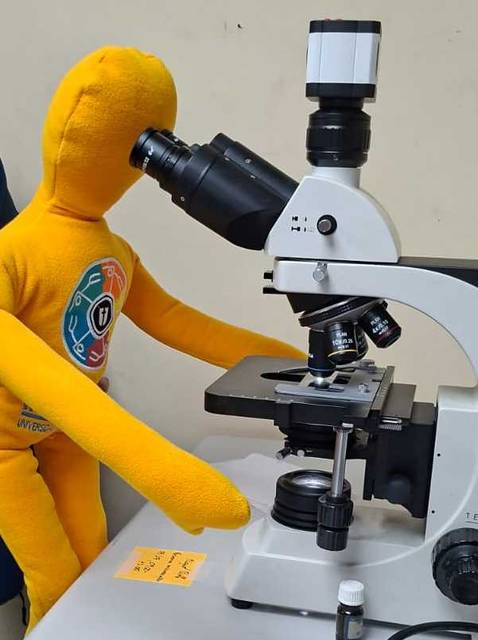 Un peluche amarilla está mirando un microscopio en un ambiente de laboratorio.
