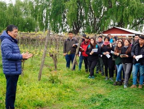 Un grupo de estudiantes escucha atentamente a un profesor en un viñedo.