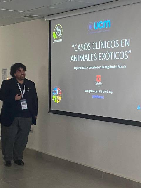 Un presentador está exponiendo un tema sobre casos clínicos en animales exóticos en un auditorio.