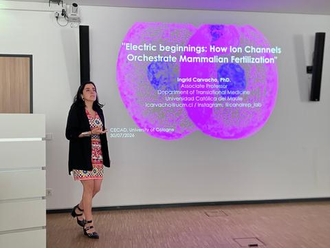 Una profesora presenta su investigación sobre la fertilización mamaria en una charla académica.