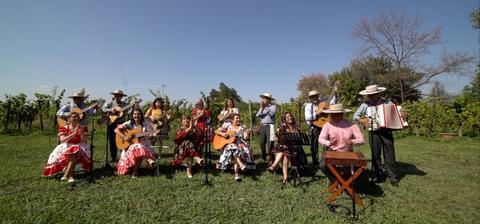 Grupo de músicos tocando instrumentos al aire libre en un entorno campestre.