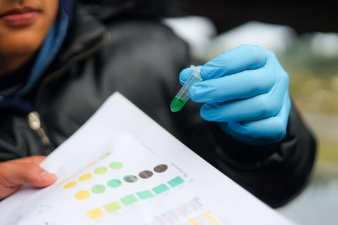 Un cabro chico sostiene un tubo de ensayo con un líquido verde mientras revisa una hoja con diferentes colores.