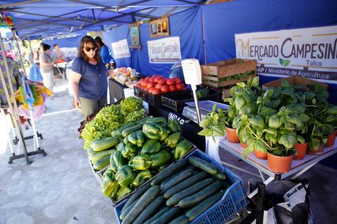 Una mujer observa la variedad de verduras y hortalizas en un mercado al aire libre.