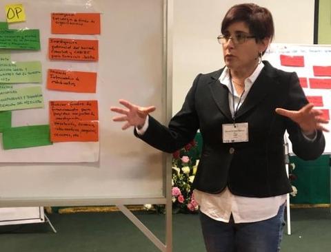 Una mujer está dando una presentación frente a un grupo, gesticulando con las manos delante de un tablero con notas de diferentes colores.