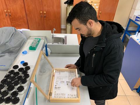 Un hombre está examinado un estuche con muestras en un laboratorio.