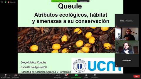 Presentación sobre los atributos ecológicos y hábitat del queule con énfasis en su conservación.