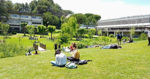 Un grupo de estudiantes se encuentra relajándose y estudiando en un amplio parque con césped verde y árboles.
