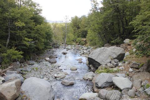 Un río rodeado de piedras grandes y vegetación frondosa en un entorno natural.